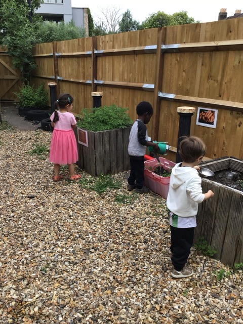 Beautiful nature garden at our Noel Park location where children explore and learn outdoors